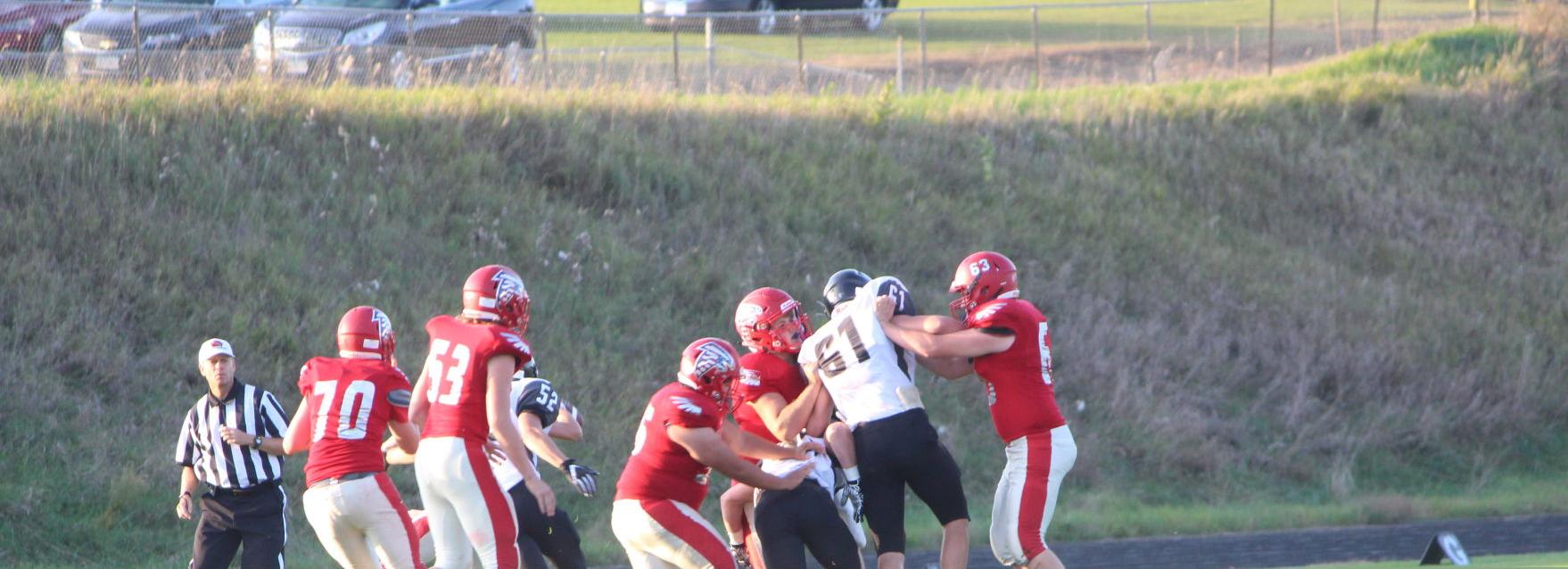 Falcon football